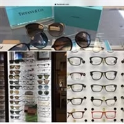 profitable optical business - 1