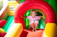 absentee-run family entertainment franchise - 1