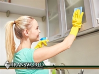 successful residential cleaning company - 1