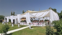 tent party rental company - 1