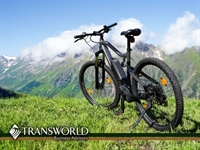 family owned electric bike - 1