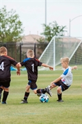 youth sports franchise ma - 1