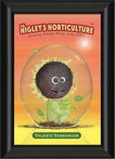 family friendly art website - 3