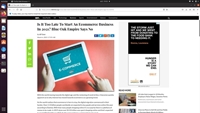 successful ecommerce opportunity florida - 2