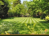 lawn maintenance only lawn - 1