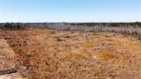 plot of land available - 3