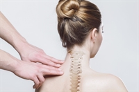 chiropractic company united states - 1