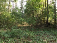 85 acre land leesville - 2