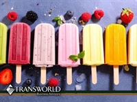 artisan ice-cream franchise prime - 1