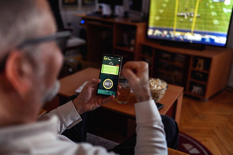 Profitable Subscription-Based Sports Betting Platform