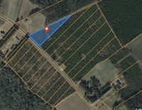 plot of land nichols - 1