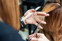 well-established salon a high-traffic - 1