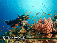outdoor lifestyle marine gear - 1