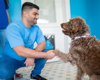 turnkey perfectfit4doglovers salon camden - 2