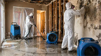 cleaning restoration franchise business - 1