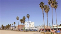 restaurant venice beach - 1