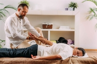 semi-absentee full-service massage wellness - 1