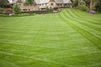 growing lawn care business - 1