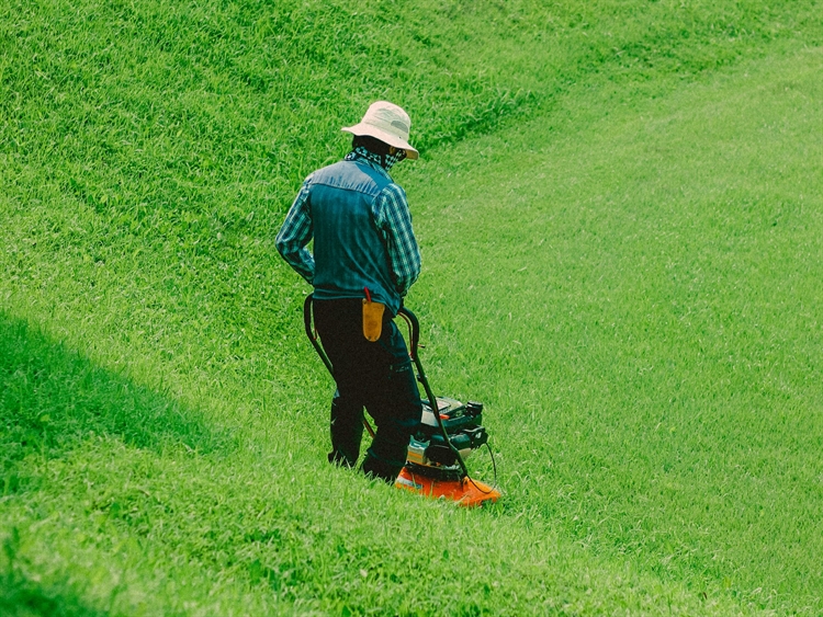 Semi Absentee Established Lawn Care Service-Recurring Clientele