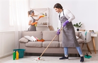 established house cleaning disinfection - 1