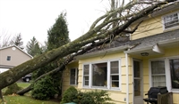 established disaster restoration franchise - 1