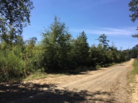 plot of land available - 3