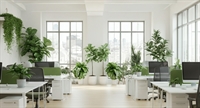 50 year established plantscape - 1