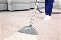 established carpet cleaning power - 1