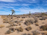 plot of land available - 2