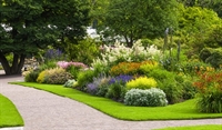 high-cash-flow asset-light landscaping business - 1