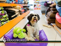 established profitable pet dog - 1