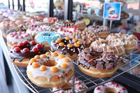 established dual donut franchise - 1