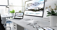 established fully remote digital - 1