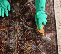 premier oriental rug cleaning - 1