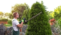 established full-service landscaping masonry - 1