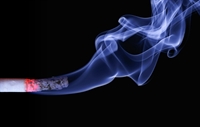 profitable smoke hookah shop - 1