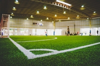 established indoor turf sports - 1