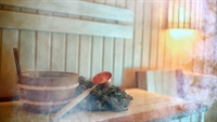 historic steam sauna health - 1