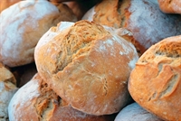 profitable bread distribution route - 1