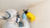 rapidly scaling restoration company - 1