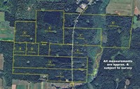 premier 735-acre hunting timber - 1