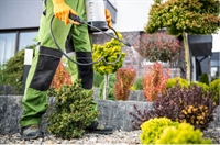 pest control business - 1