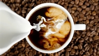 multi location coffee shop - 1