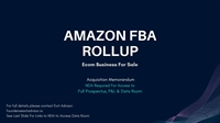 established amazon fba business - 1