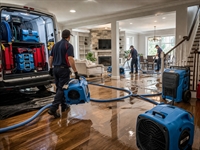 turnkey emergency restoration business - 1