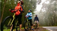 established kauai adventure tours - 1