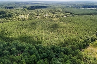 plot of land wagener - 1