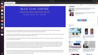 successful ecommerce opportunity florida - 3