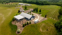 profitable absentee owned winery - 3