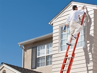 successful 6-territory paint franchise - 1